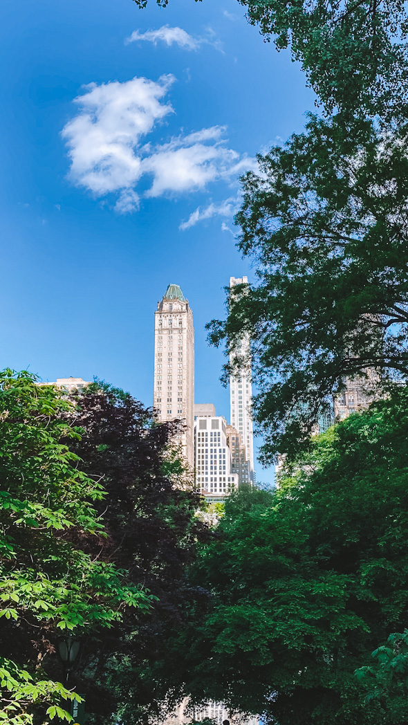Central Park New York