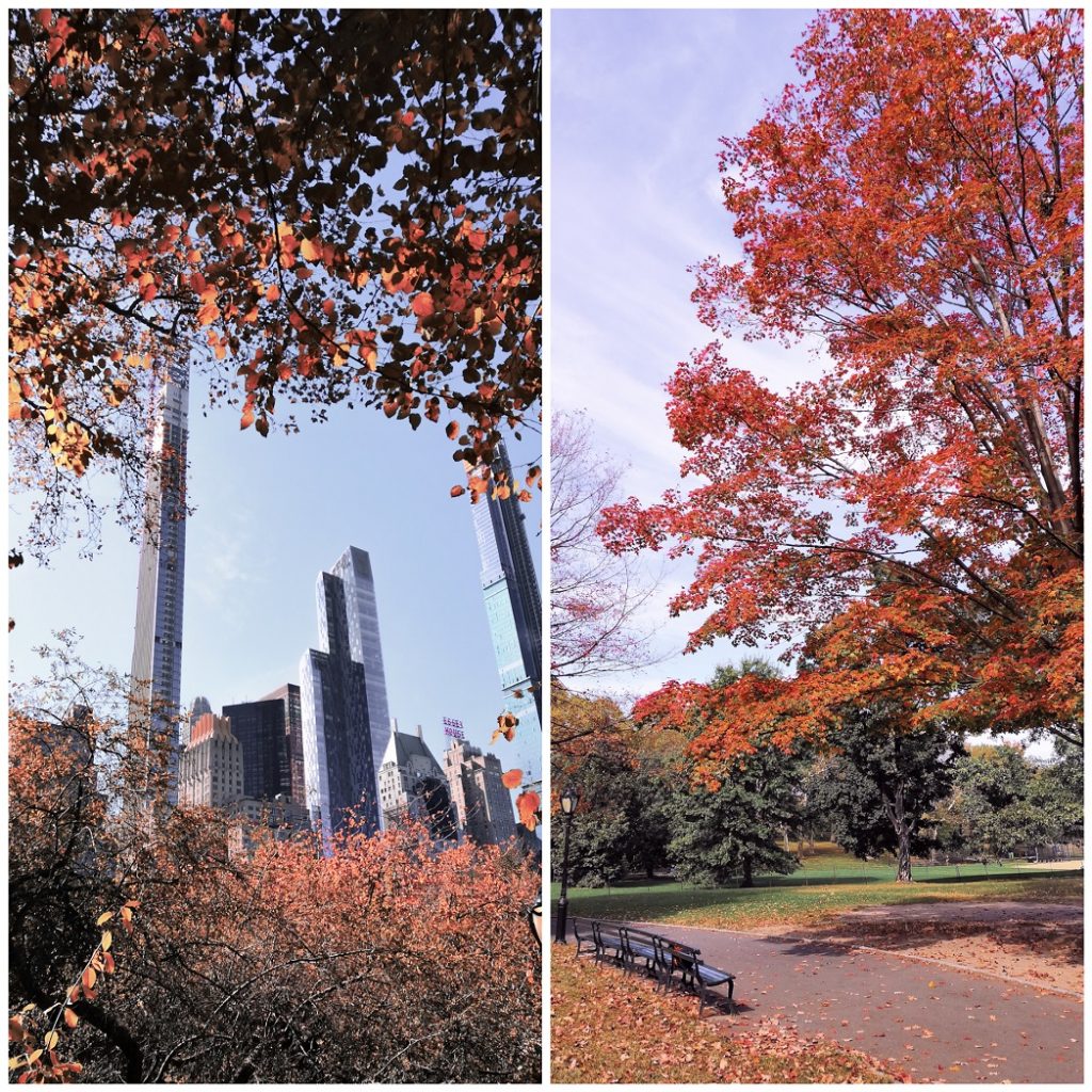 Central Park