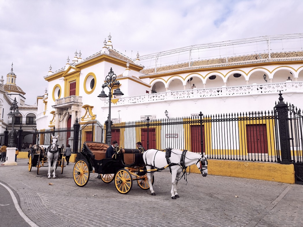 Arènes de la Real Maestranza Séville