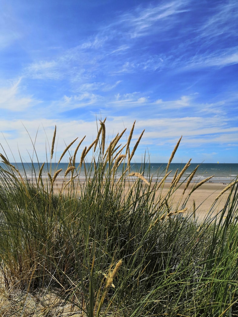 Plage Bray Dunes