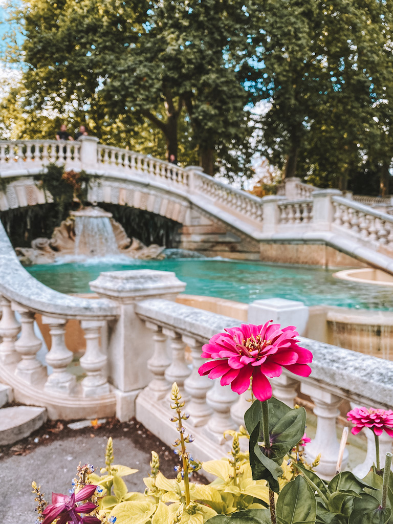 Jardin Darcy
