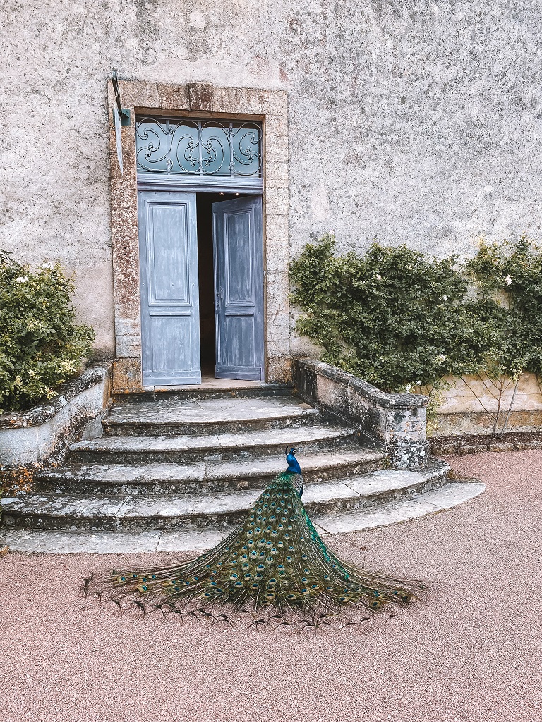 Jardins suspendus de Marqueyssac