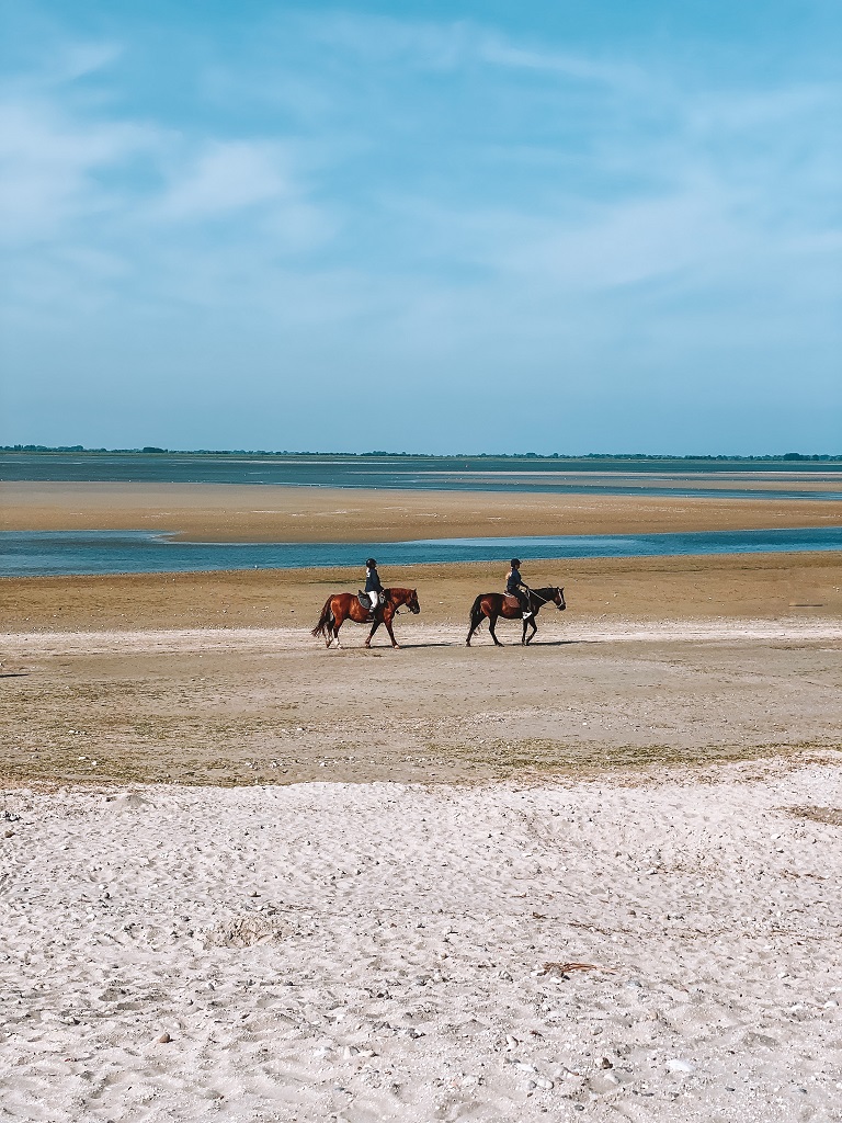 le crotoy
