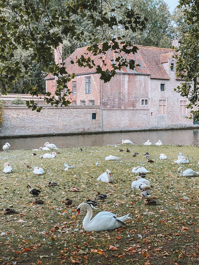 Minnewater Bruges