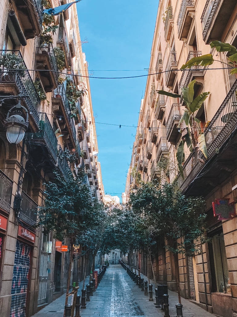 Quartier Gotique Barcelone
