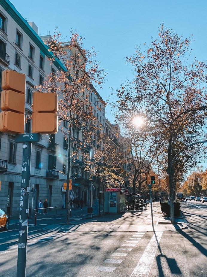 Quartier El Born Barcelone