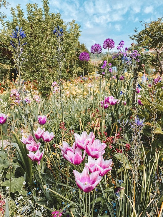 Jardins de Claude Monet à Giverny