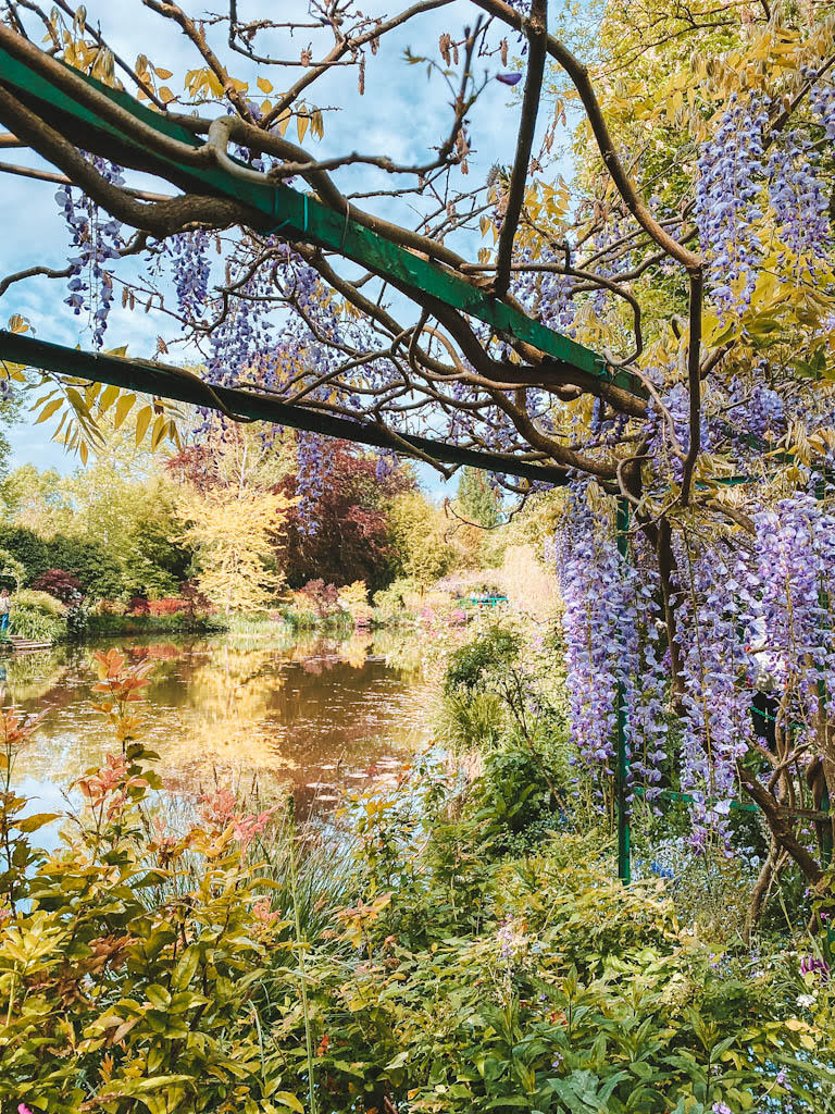 Bassin aux Nymphéas Giverny
