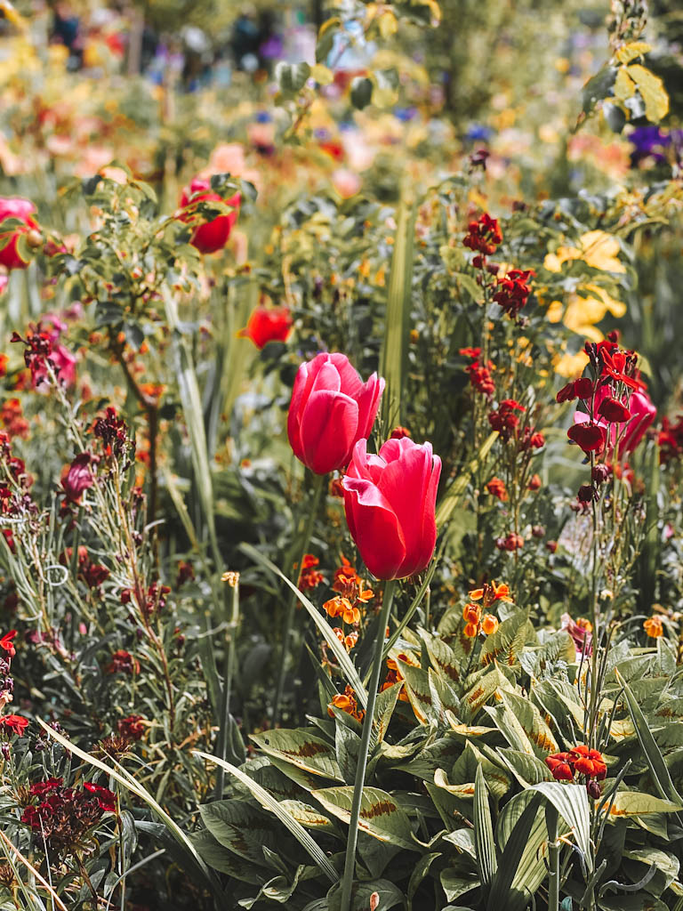 Jardins de Claude Monet à Giverny