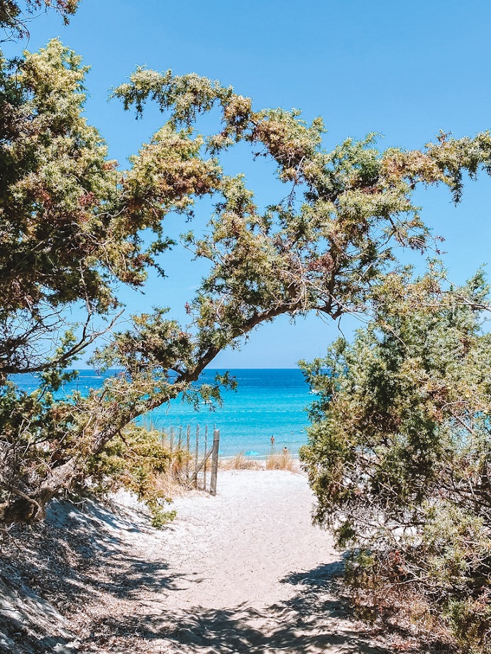 Plage de Saleccia Désert des Agriates