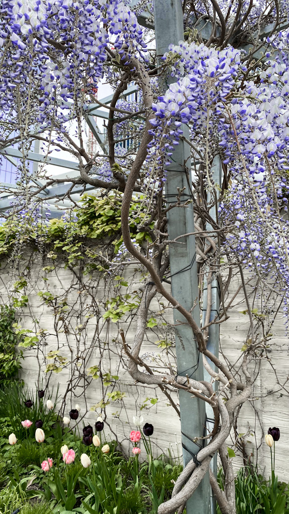 The Garden at 120 Londres