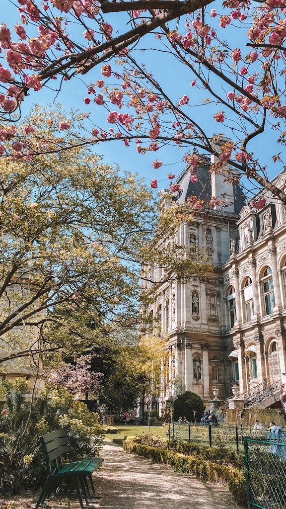 Cerisiers au Jardin des Combattants de la Nueve Paris