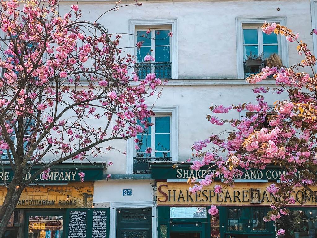 Cerisiers devant Shakespeare and Company Paris