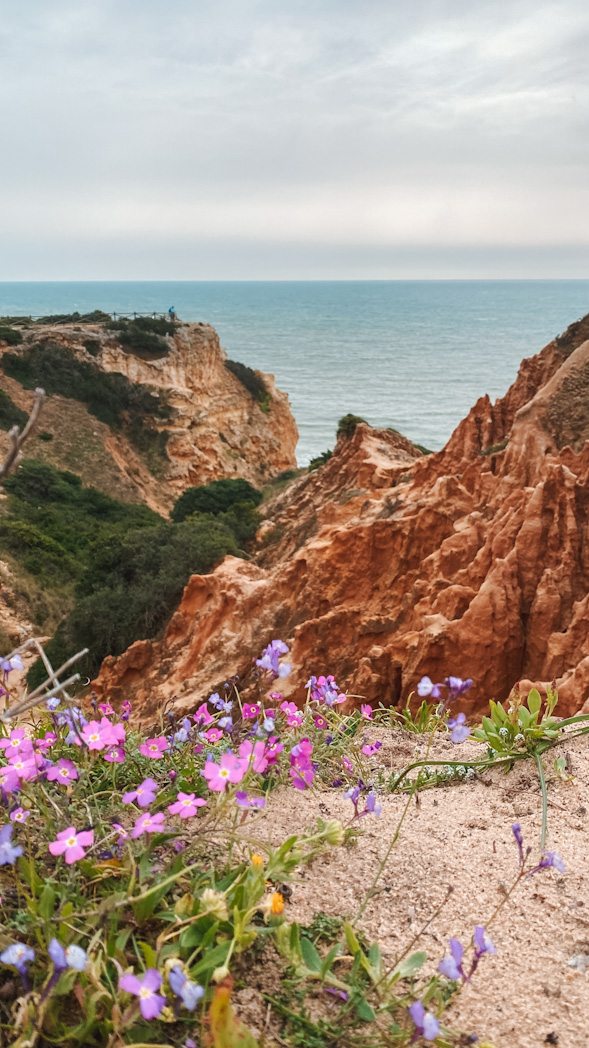 Praia da Marinha Algarve