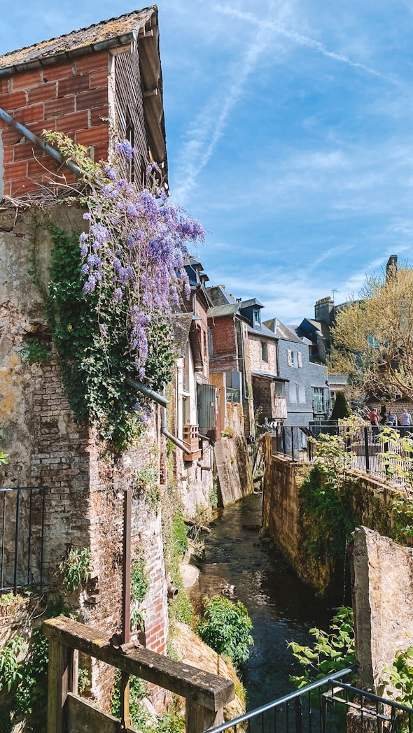Jardin du Tripot Honfleur