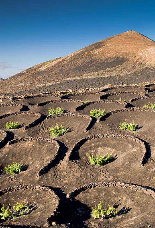 Islas La Geria Lanzarote