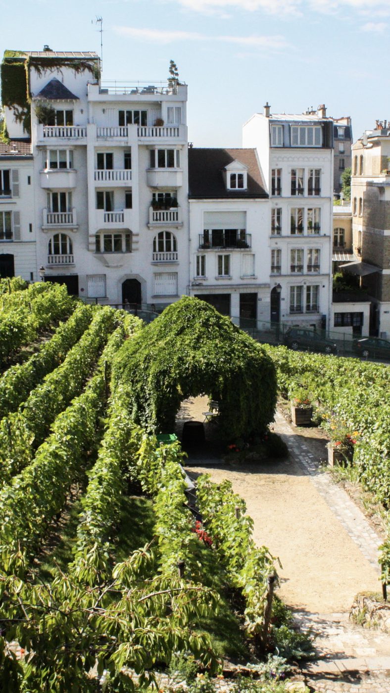 Balade Montmartre Itinéraire à pied