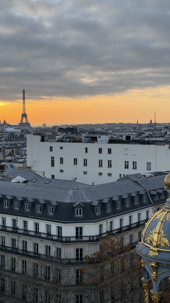 Vue depuis le Rooftop du Printemps Haussmann Paris