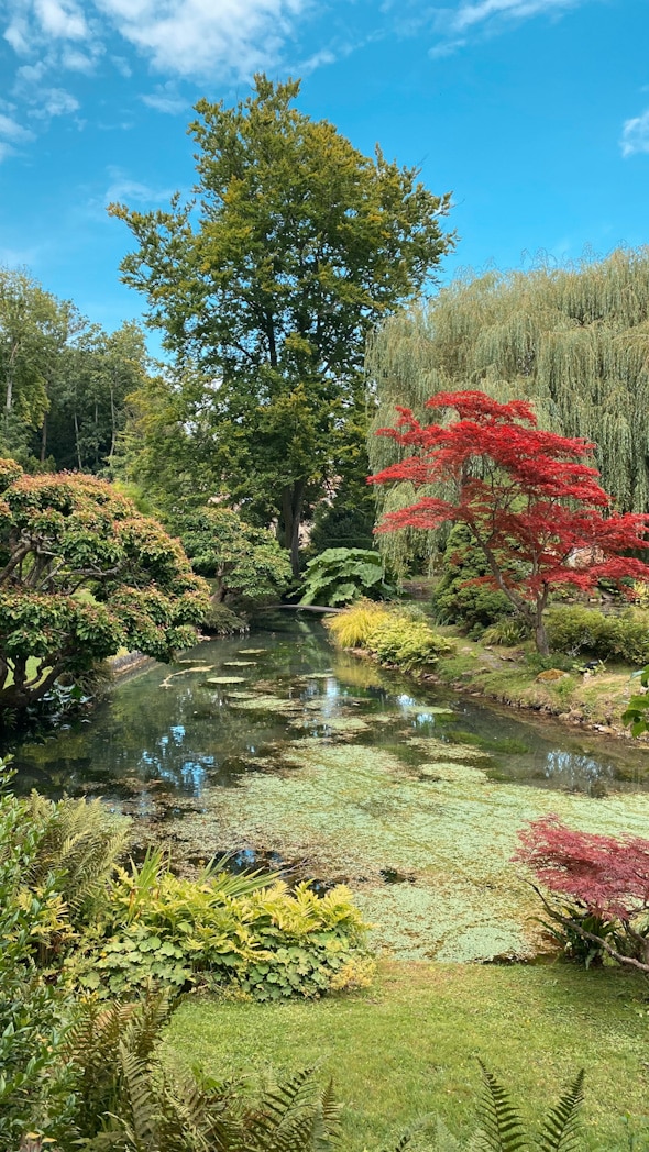Jardin et Château de Courances Essonne à moins d'1h de Paris