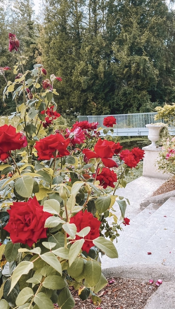 Balade nature en Essonne au Domaine de Monyauger
