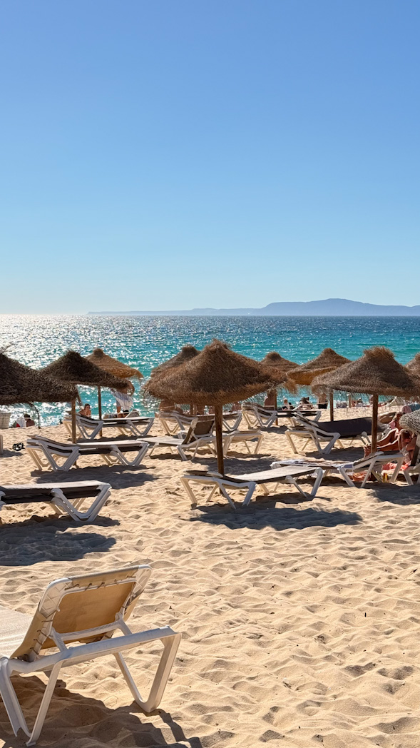 Comporta, entre plage sauvage, rizière et port de pêche au sud de Lisbonne