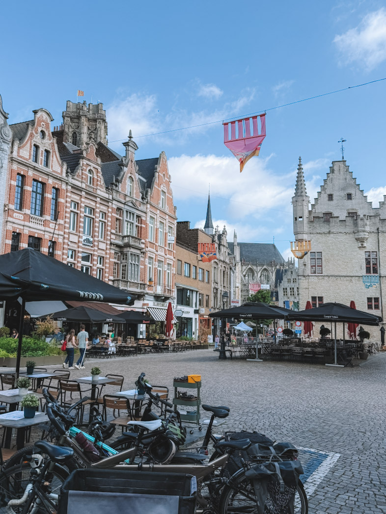 Boutiques et cafés le long de l’avenue IJzerenleen, étape idéale si vous cherchez que faire à Malines en 2 jours.