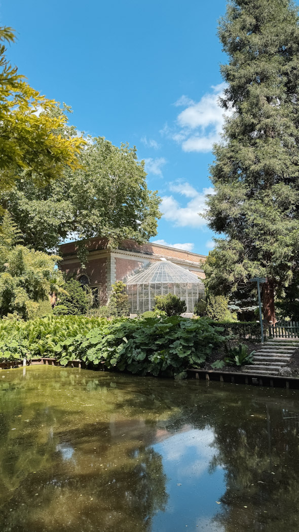 Serre du jardin botanique de Louvain, une pause nature à inclure dans un itinéraire de 2 jours