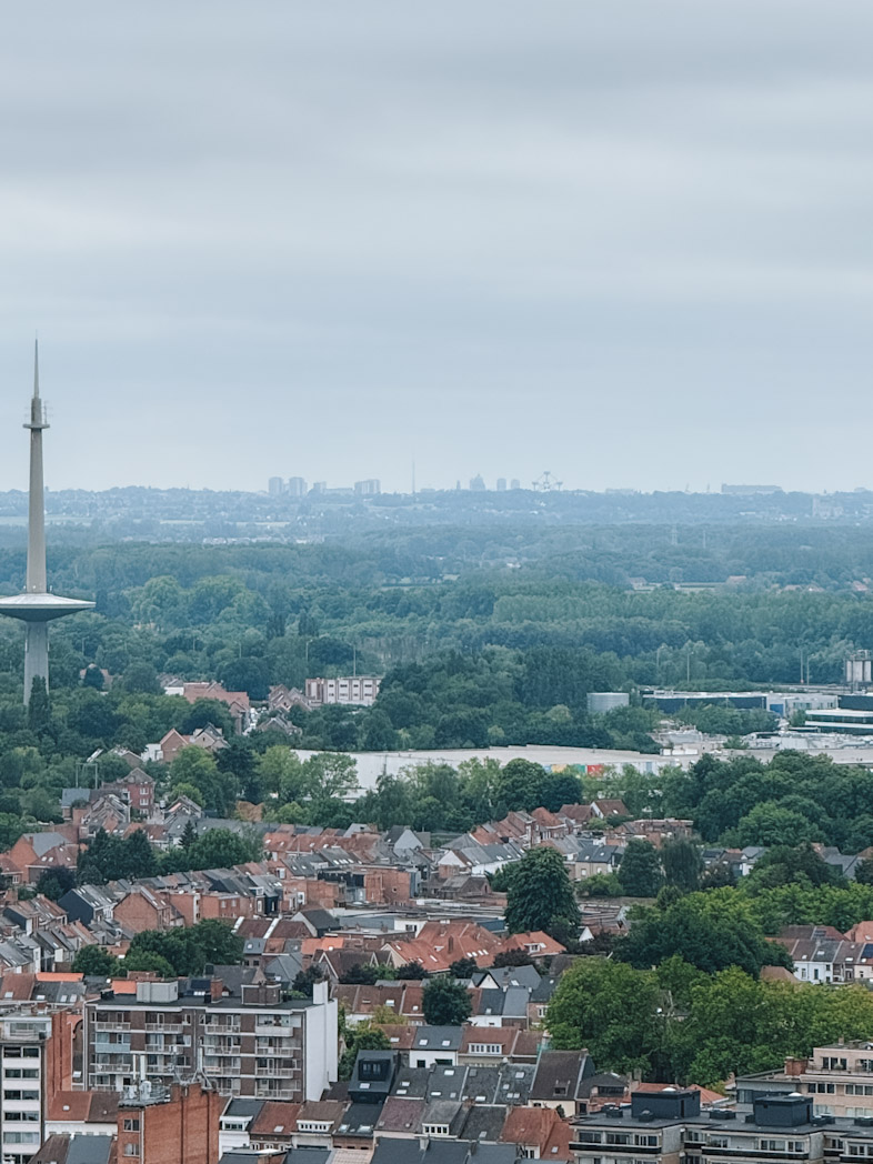 Vue de la tour Saint-Rombaut dominant le centre historique de Malines à découvrir lors d'un week-end en Flandre