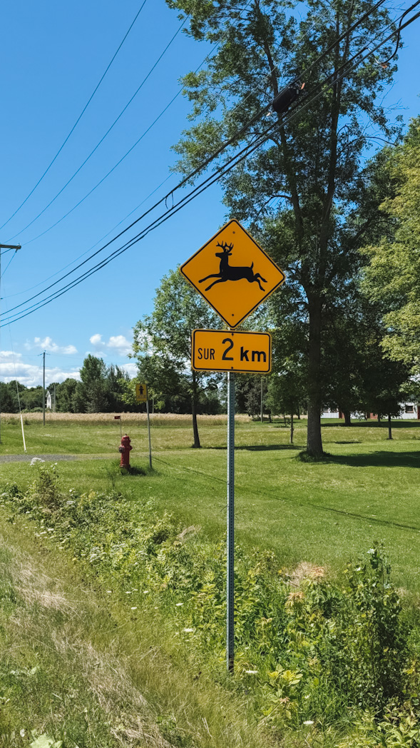 Panneau "attention caribou" sur la route 132 longeant le fleuve Saint-Laurent