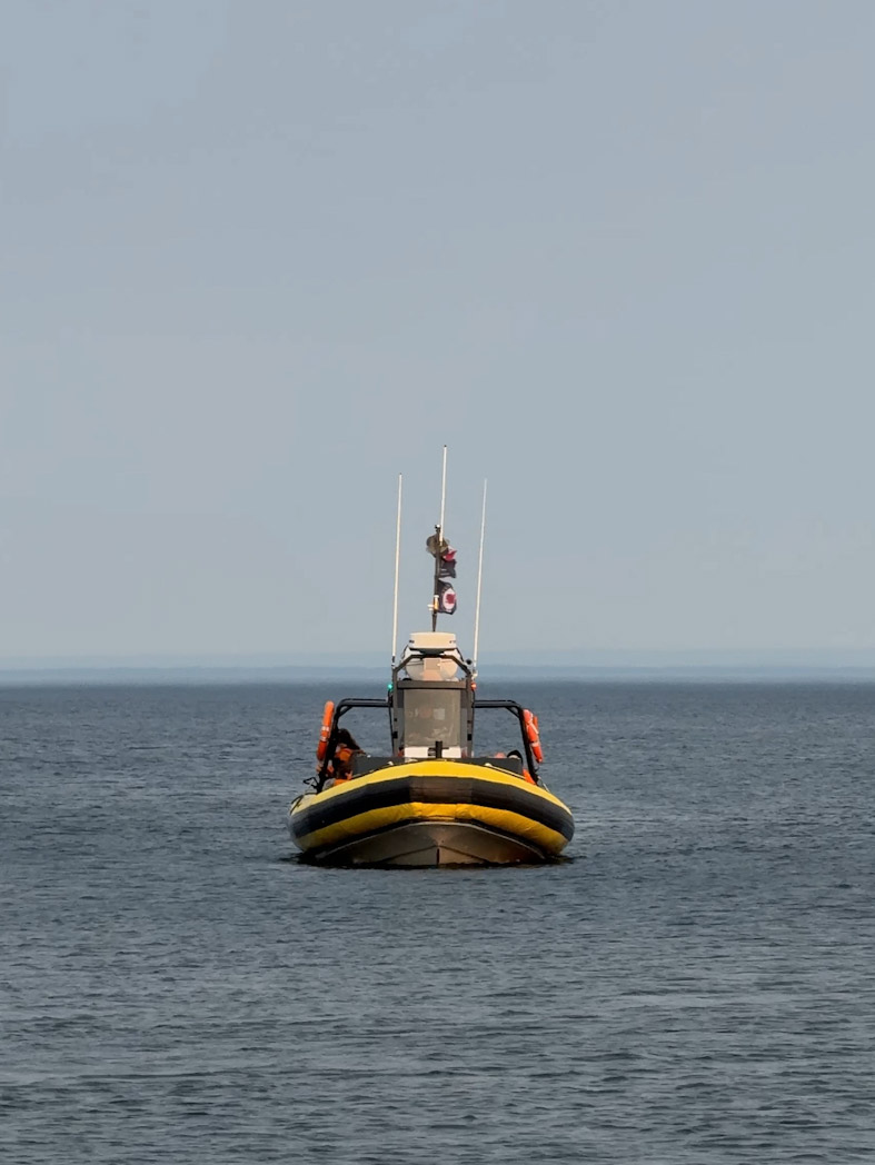 Croisière aux baleines à Tadoussac, activité emblématique d’un road trip au Québec