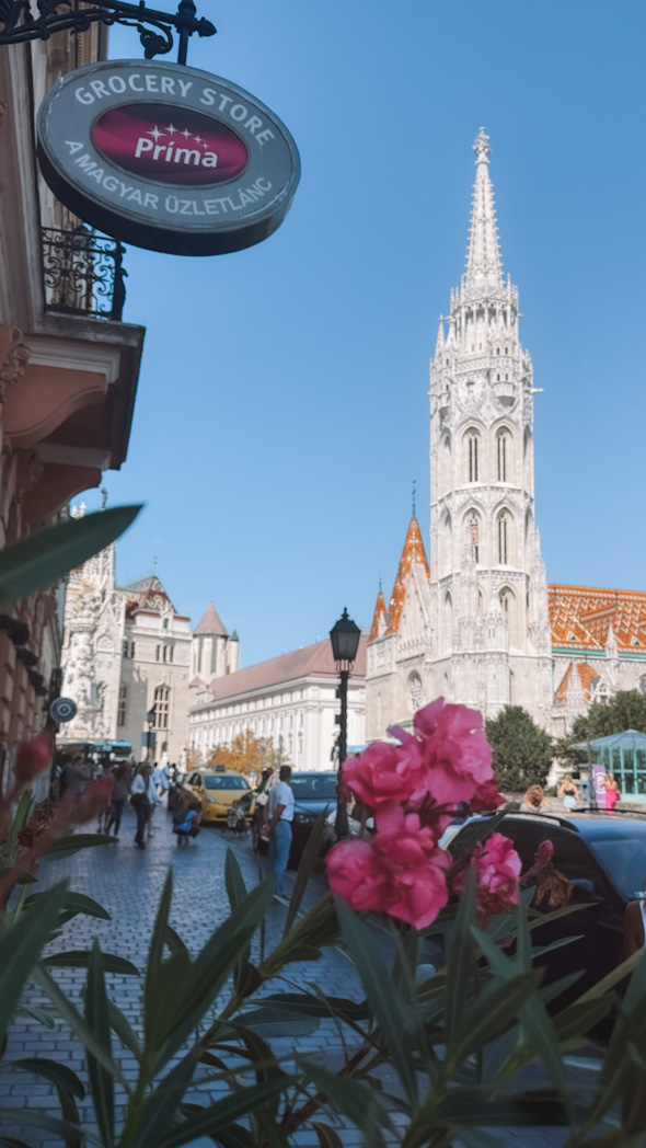 Façade de l’église Saint-Mathias encadrée de fleurs, vue depuis une rue de Buda