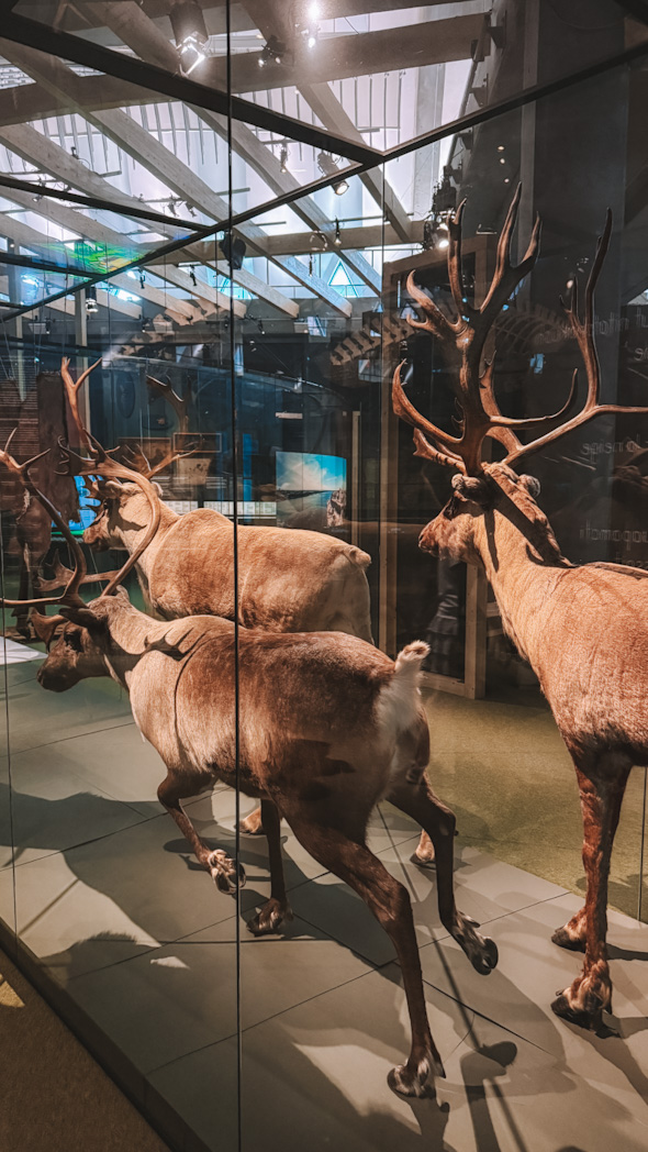 Exposition permanente au Musée de la civilisation, Québec