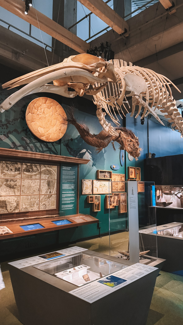 Exposition permanente au Musée de la civilisation, Québec