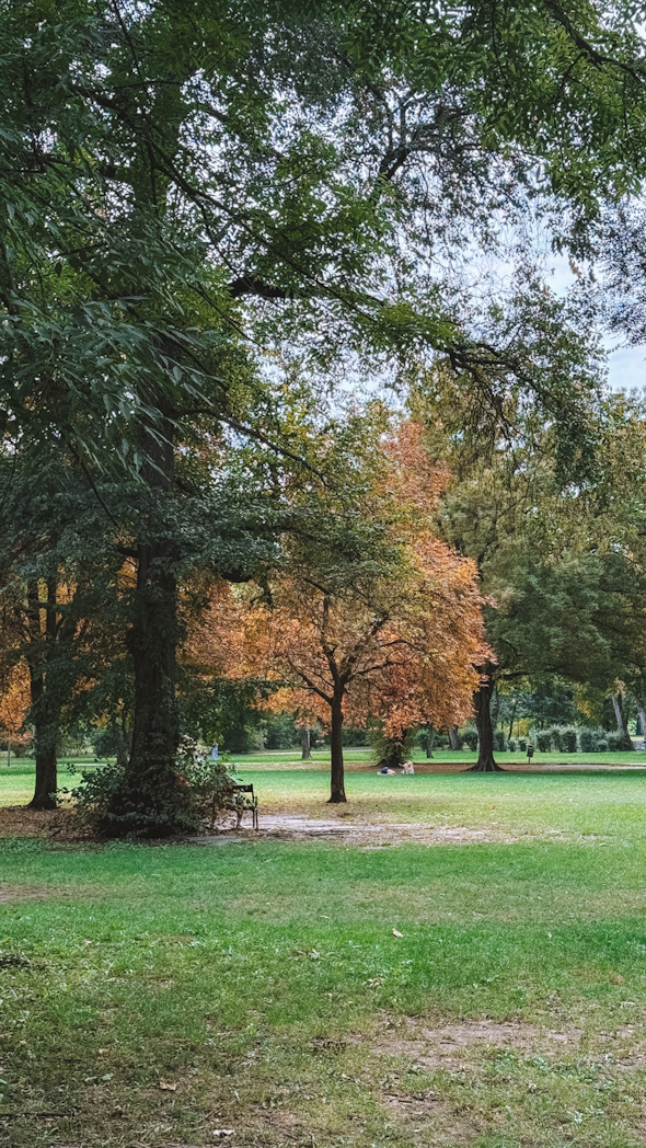 Allée arborée du parc Városliget à Budapest avec pelouses et arbres