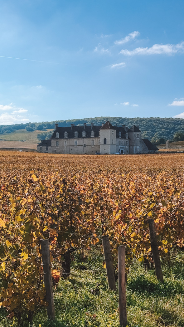 Château du Clos de Vougeot, entouré de vignes, haut lieu historique des vins de Bourgogne sur la route des grands crus