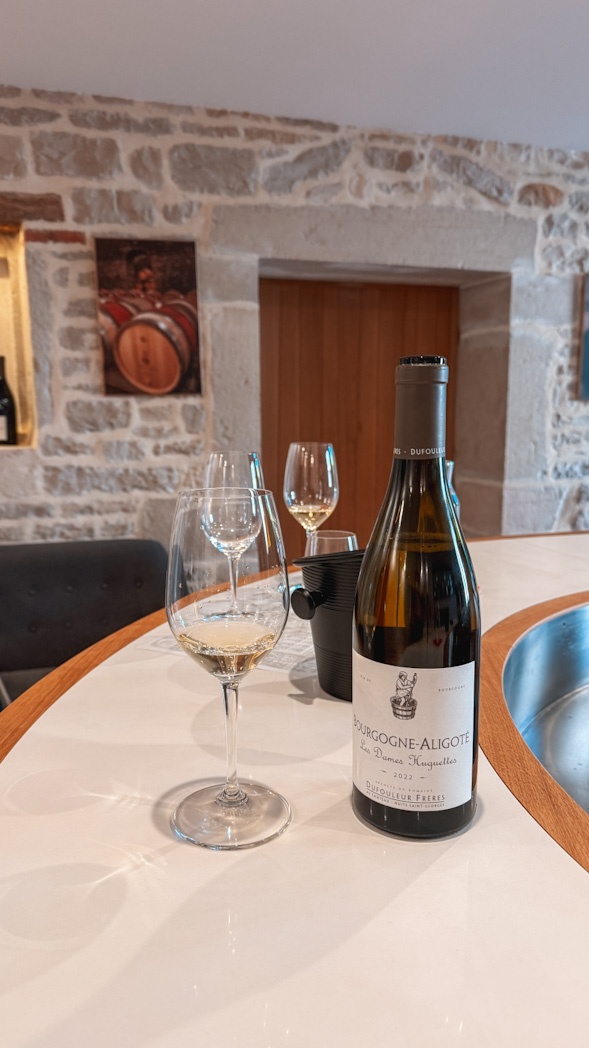 L’Œnothèque Dufouleur Frères dans le parc du château à Nuits-Saint-Georges