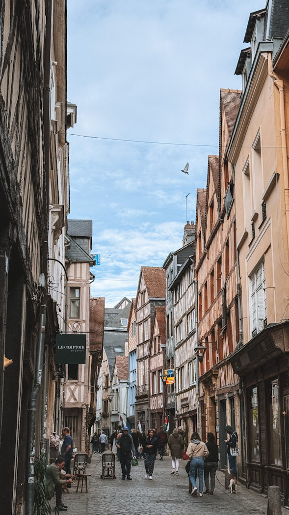 Rue Damiette à Rouen, pittoresque rue du vieux Rouen réputée pour ses antiquaires, ses boutiques uniques et son ambiance historique.