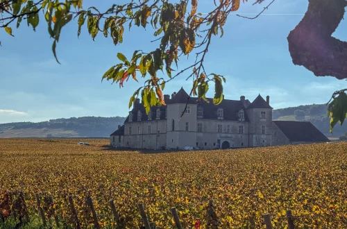 Vue sur le château du Clos de Vougeot et les vignes en Côte d'Or lors d'un week-end sur la Route des Grands Crus de Bourgogne