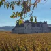 Vue sur le château du Clos de Vougeot et les vignes en Côte d'Or lors d'un week-end sur la Route des Grands Crus de Bourgogne