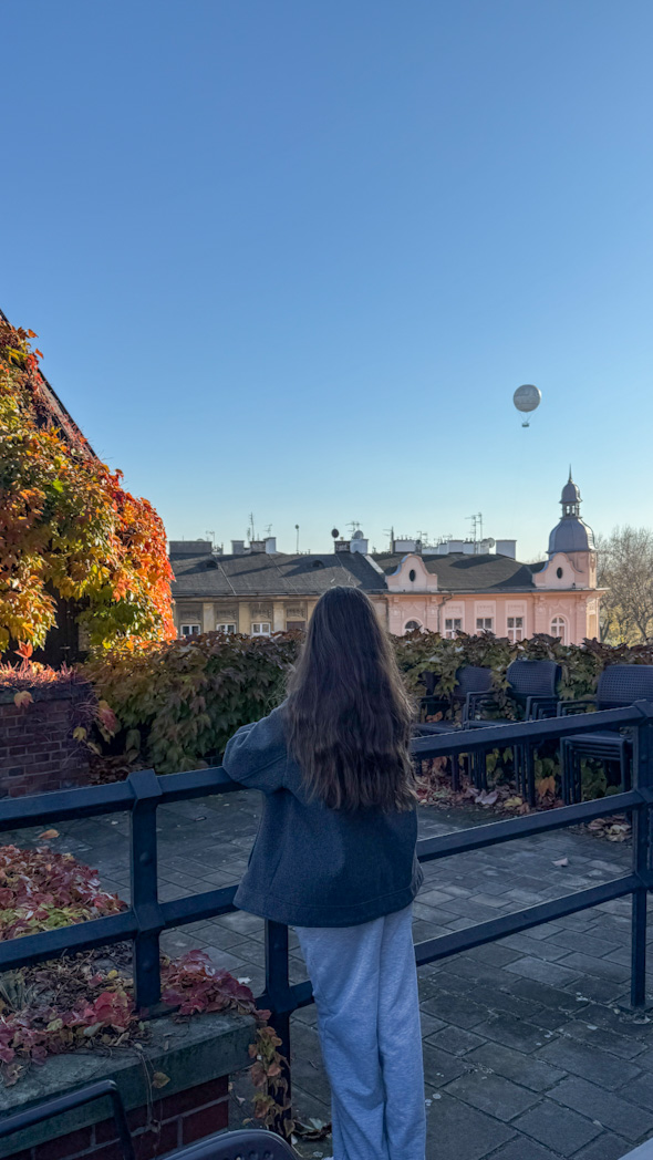 Vue depuis le Château de Wawel à Cracovie