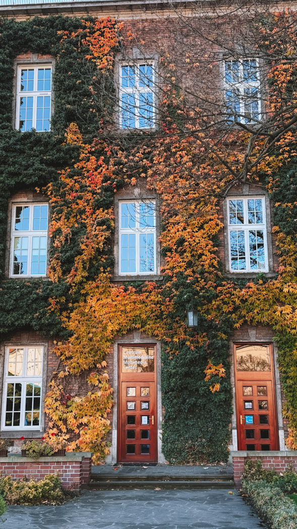 Façade du Château de Wawel en automne à Cracovie