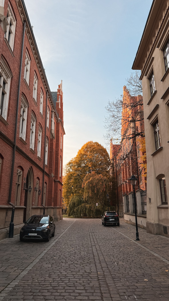 Rue dans Stare Miasto, lieu phare la vieille ville lors d'une visite de Cracovie en 3 jour