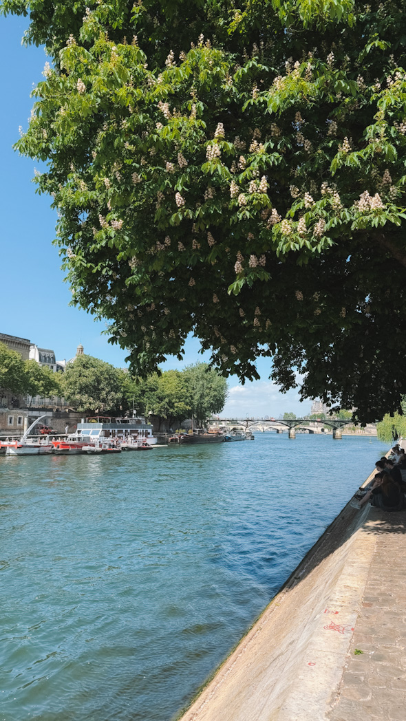 Balade sur les quais de Seine, activité à faire pendant un week-end à Paris