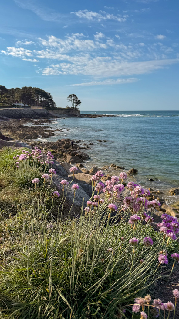 Plage de Saint-Gilles à Bénodet, paysage naturel préservé du Finistère sud