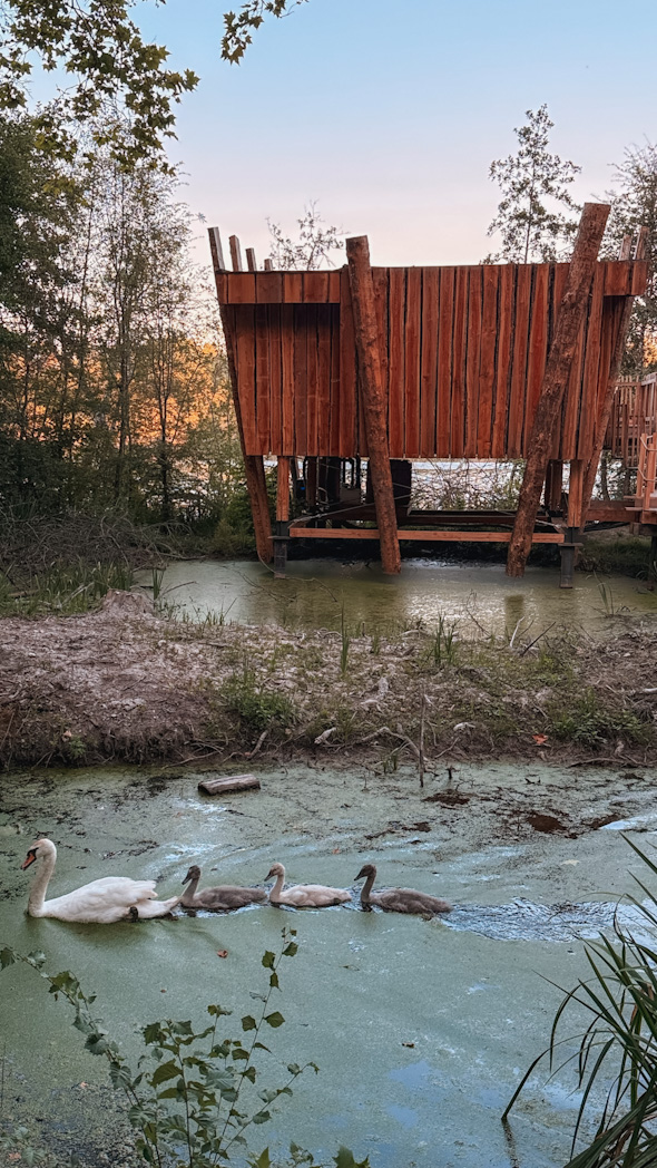 Coucou Cabane de l'Orvanne à Moret-sur-loing en pleine nature, idéale pour un logement insolite proche de Paris