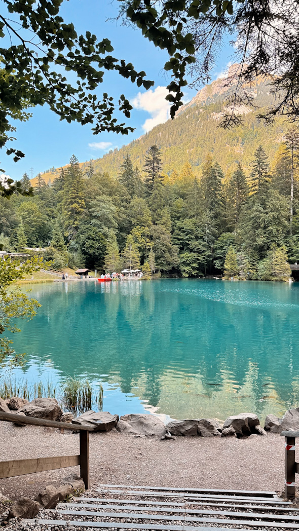 Eaux turquoise du Blausee entourées de montagne et de forêt en Suisse