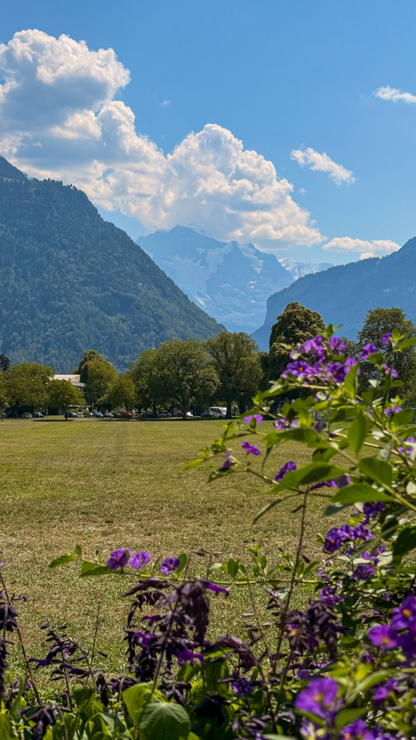 Vue sur les montagnes depuis Interlaken en Suisse